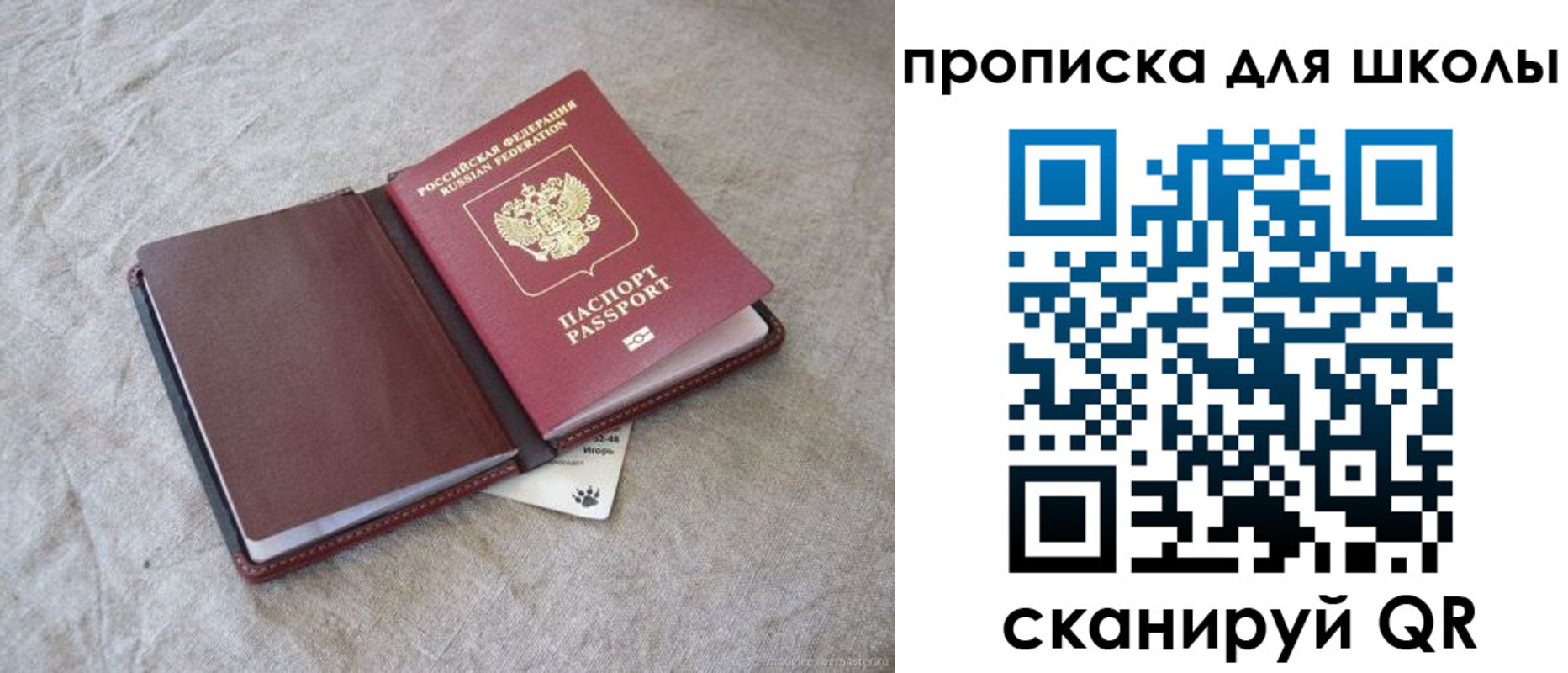 прописка штамп в Алексеевке
